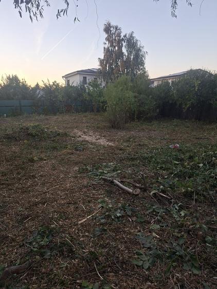 Teren Construcții intravilan de 594 mp, în Chiajna