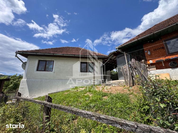 Casă cu 4 camere cu Teren 3534 Mp în Blăjeni