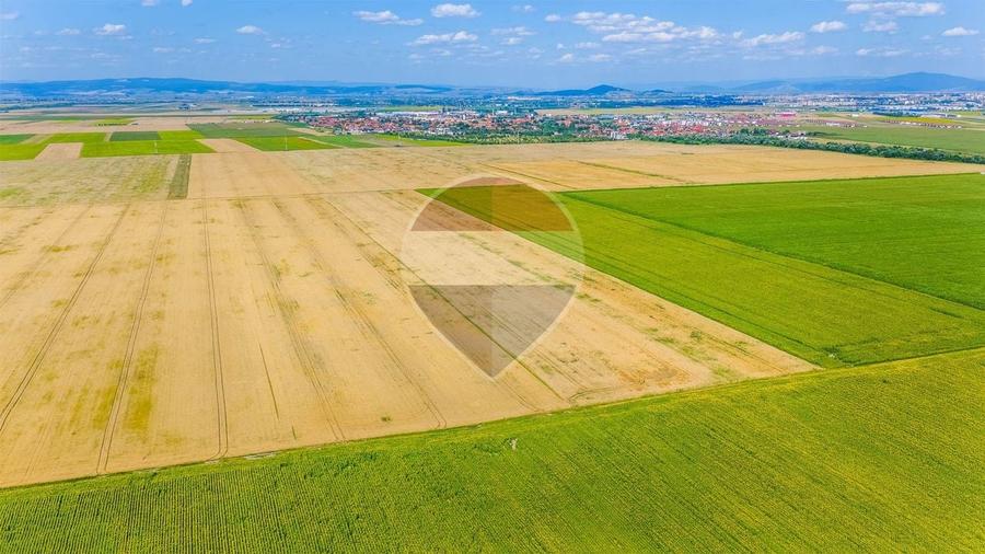 Teren agricol extravilan de 20000 mp, în Cristian