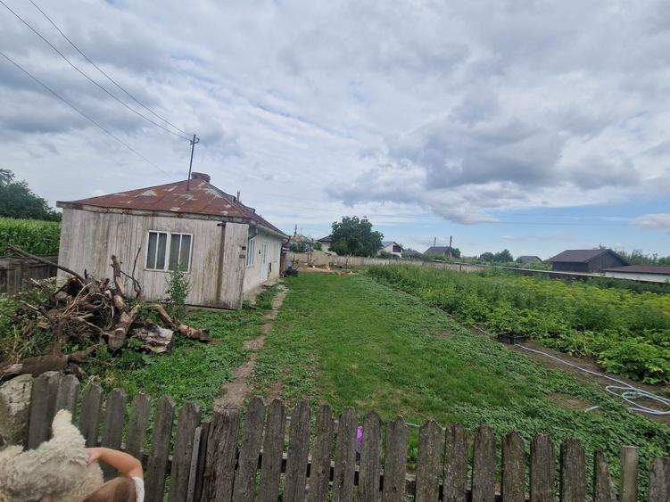 Casă cu 2 camere în Central