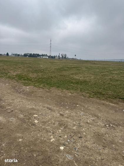 Teren de 10000 mp, în Hemeiuș