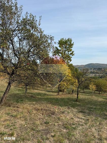 Teren de 13340 mp, în Bârsana