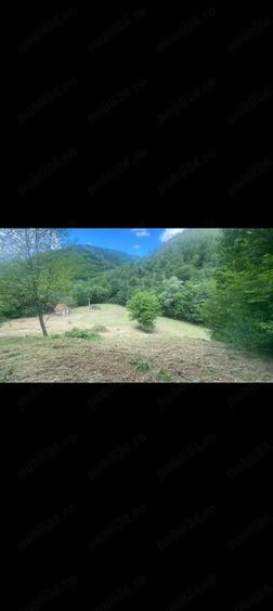 Teren de 15000 mp, în Central