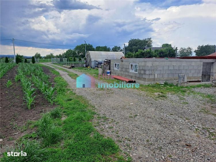 Casă cu 4 camere cu Teren 10000 Mp în Fântâna Mare