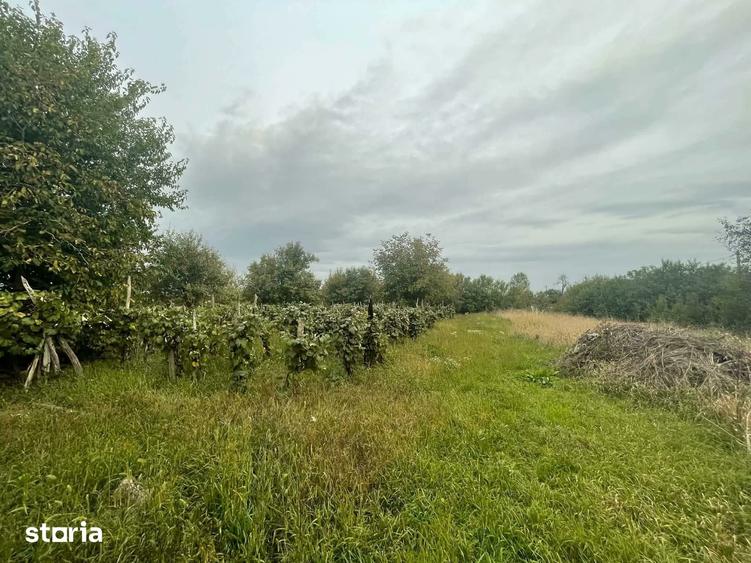 Casă cu 2 camere cu Teren 1930 Mp în Culciu