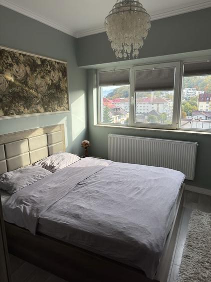 Apartament cu 2 camere decomandat în Petru Rareș
