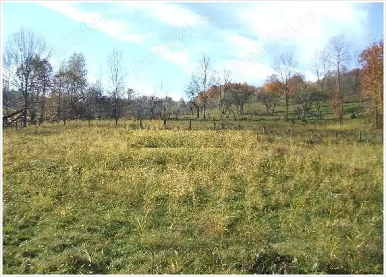 Teren de 1000 mp, în Drăgăneasa