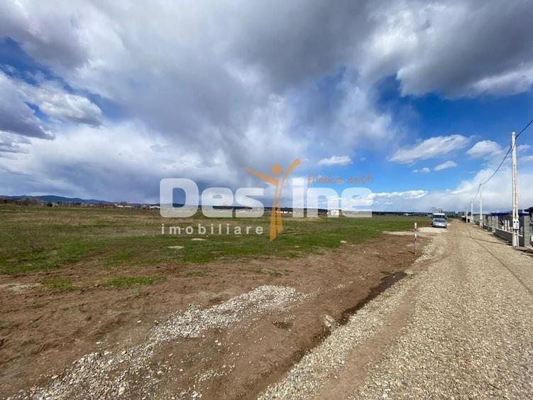 Teren Construcții intravilan de 900 mp, în Dumbrava Roșie