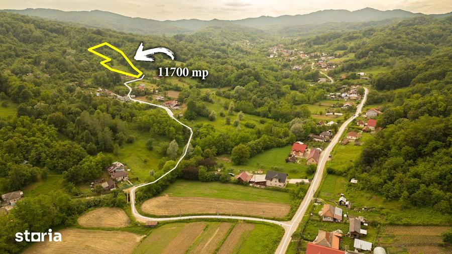Teren de 11600 mp, în Valea