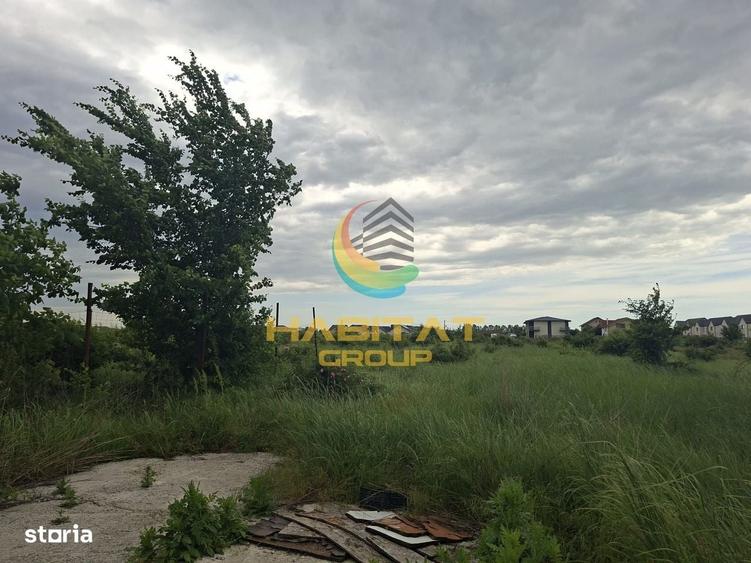 Spațiu comercial, în Domnești