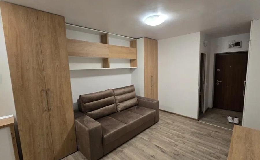Apartament cu 1 camera in Nicolina-Gara Internationala - 4