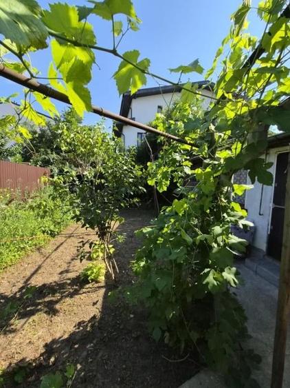 Investitie excelenta in Sector 1 | Casa si teren 360 mp | - 6