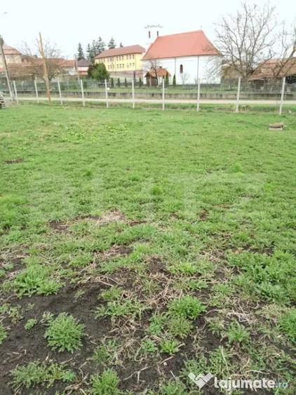 Teren de 3000 mp, în Călărași