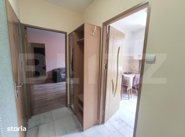 Apartament cu 2 camere, 55 mp, pet Friendly, zona Centrala - 4