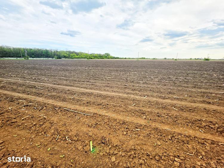 Teren de 7900 mp, în Bucov