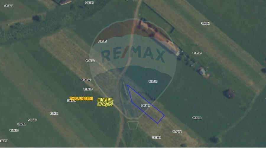 Teren agricol intravilan de 611 mp, în Tărlungeni