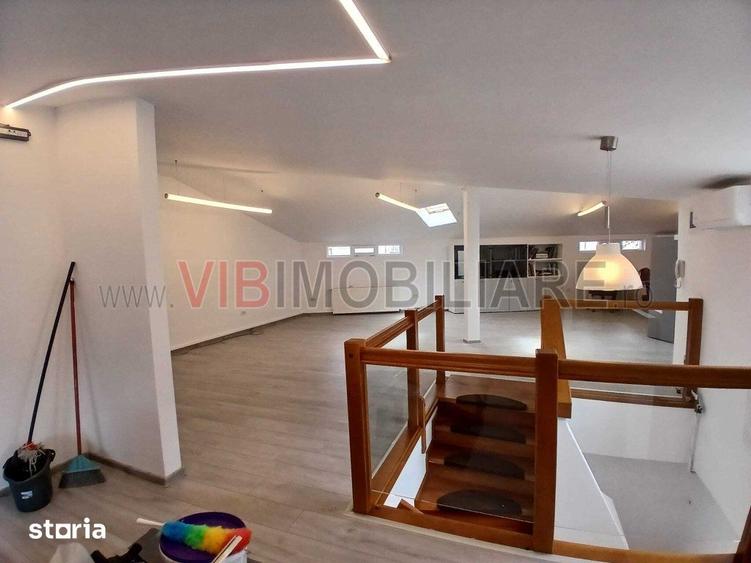 Loft spatios la Cismigiu - 11