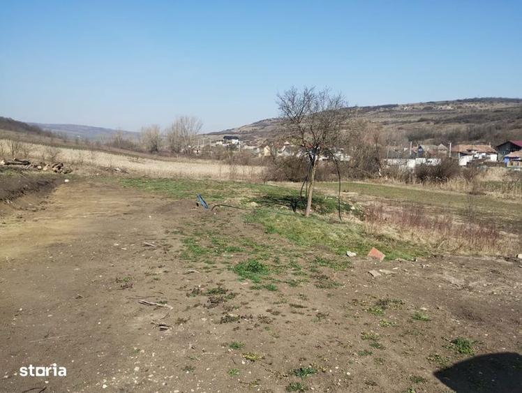 Teren de 1300 mp, în Iclod
