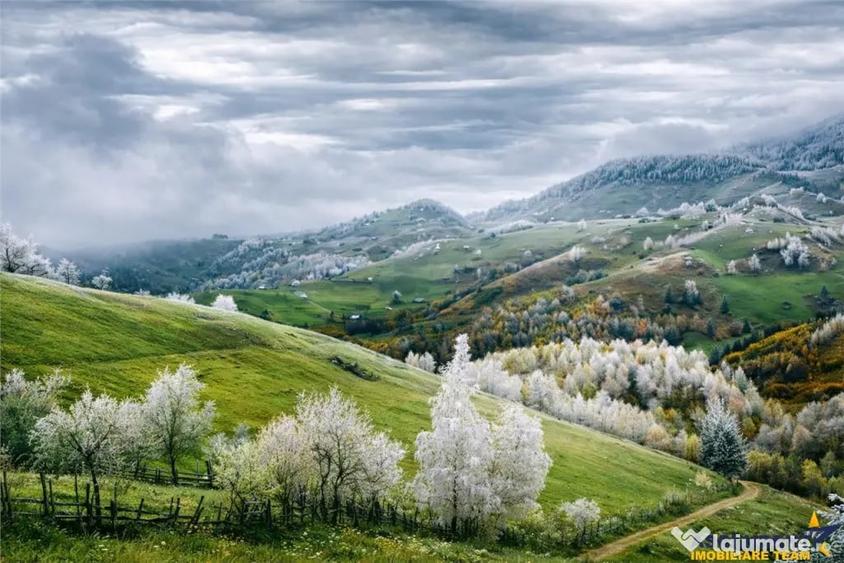 Resedinta pensiune, in areal privilegiat. cu 1.000 mp teren - 7