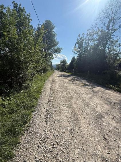 Teren Construcții intravilan de 1662 mp, în Trăisteni