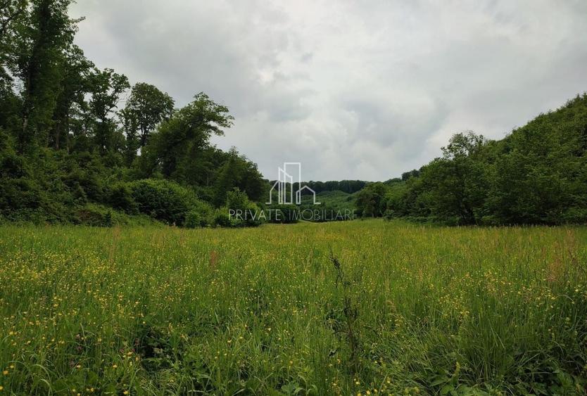 Teren agricol extravilan de 20 mp, în Daneș