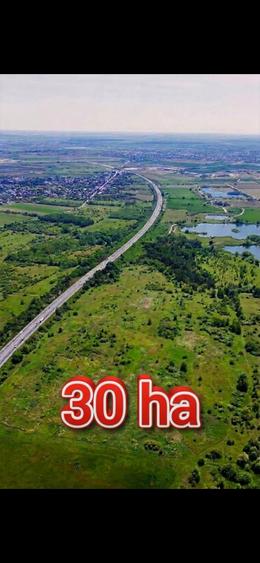 Teren agricol extravilan de 300000 mp, în Florești-Stoenești