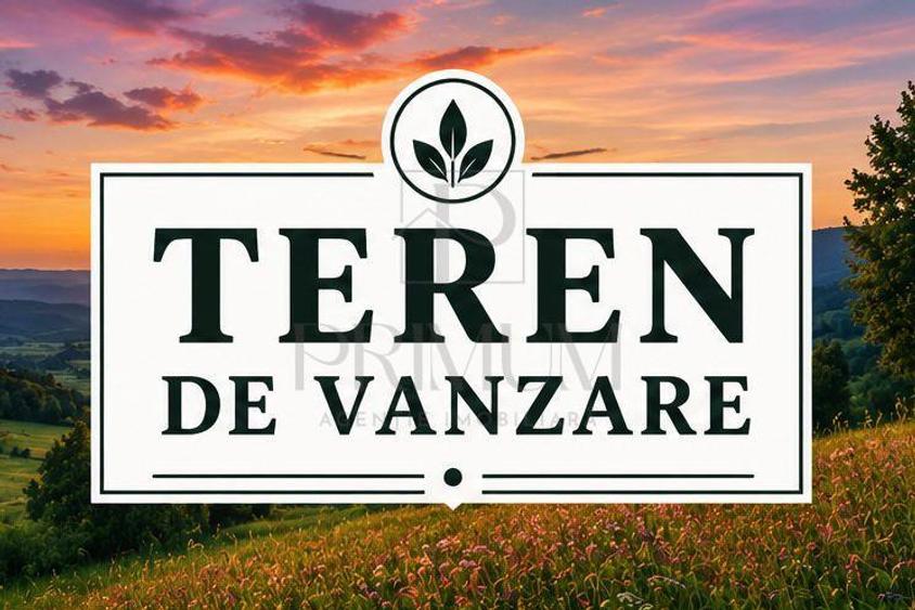 Teren intravilan- MOSNITA NOUA- TOATE UTILITATILE+ strada asfaltata - 3