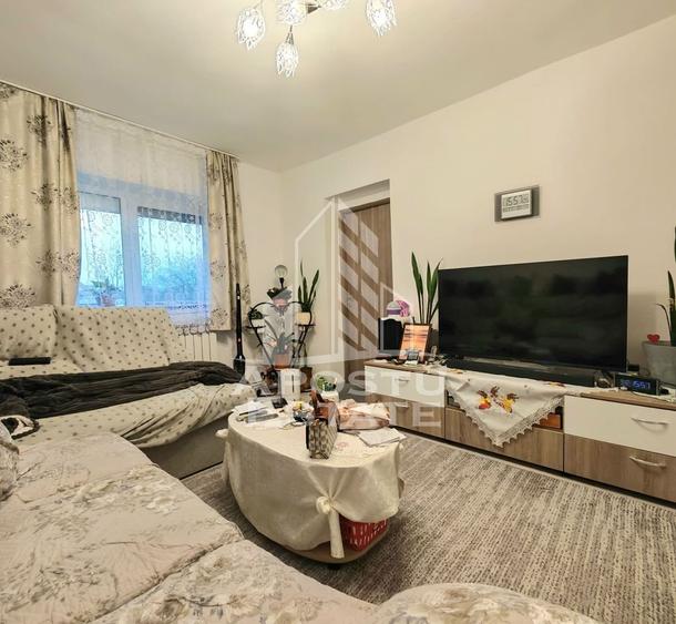 Apartament cu 2 camere semidecomandat, mobilat în Șag
