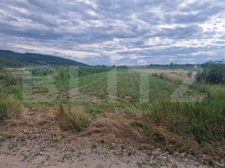Teren Construcții intravilan de 4300 mp, în Livada (Iclod)