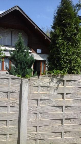 Casă cu 3 camere în Păltiniș