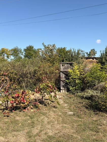 Casă cu 3 camere cu Canalizare în Erbiceni