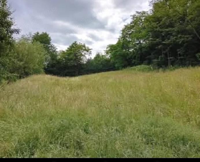 Teren de 2621 mp, în Șinca