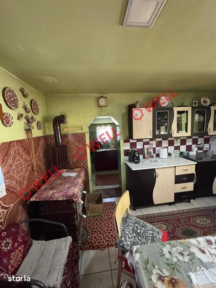 Casă cu Teren 4669 Mp în Boroșneu Mare