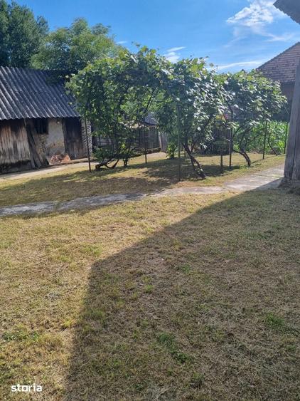 Casă cu 4 camere cu Teren 1500 Mp în Barcanele