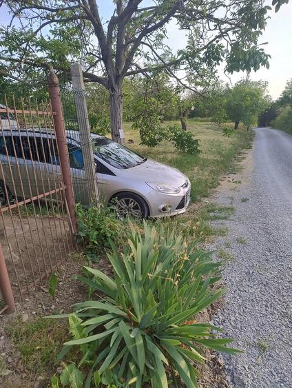 Teren de 3989 mp, în Podgoria