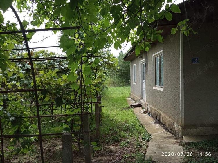 Teren de 10000 mp, în Traian