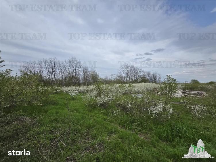 Teren de 2325 mp, în Joița