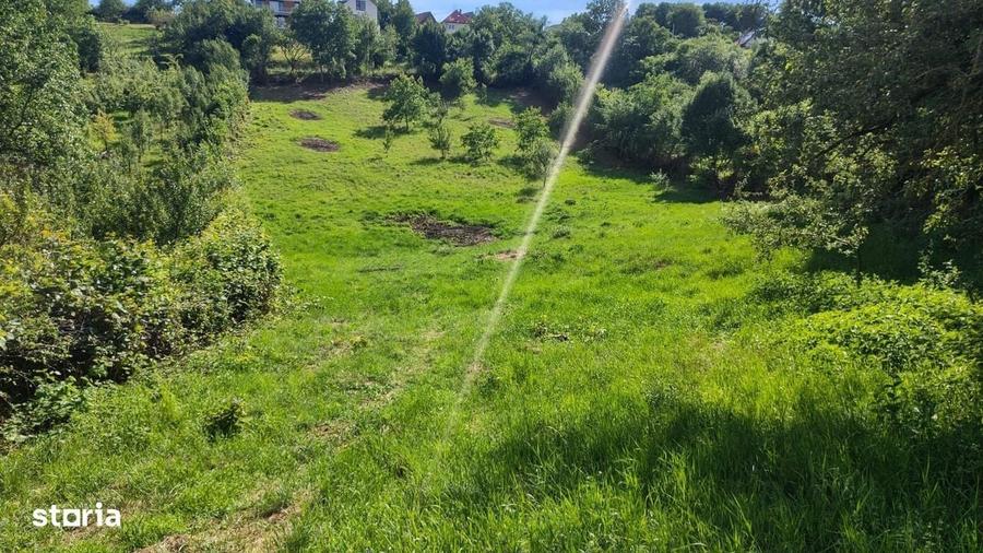 Spațiu comercial, în Feleacu