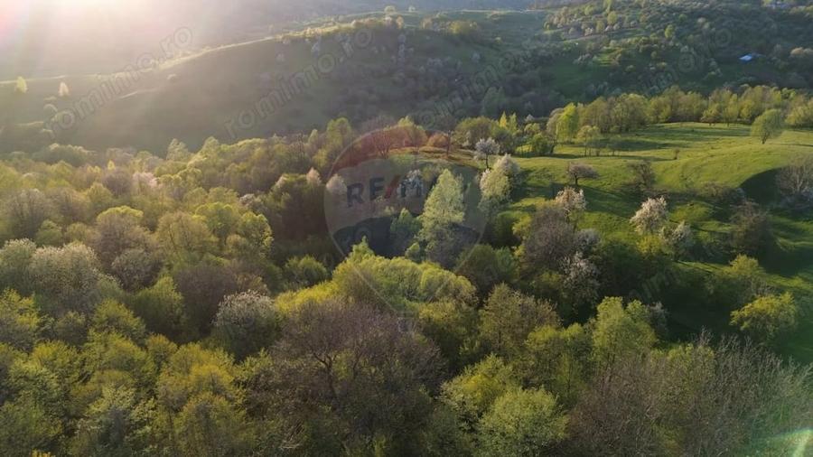 Teren de 15459 mp, în Bughea de Sus
