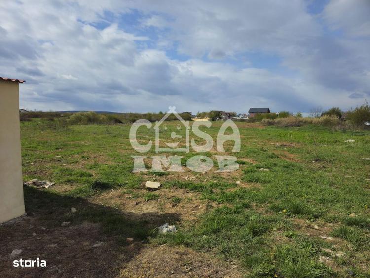 Teren de 3100 mp, în Priseaca