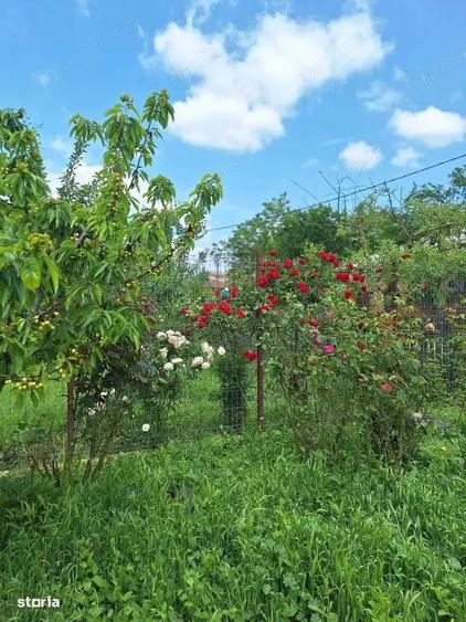 Casă cu 3 camere cu Teren 2420 Mp în Aprozi