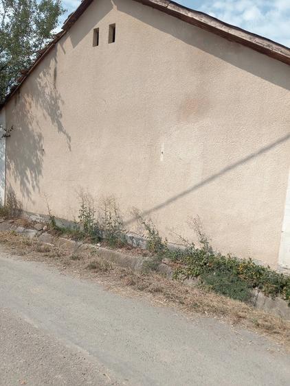 Casă cu 3 camere cu Teren 2500 Mp în Ciocmani