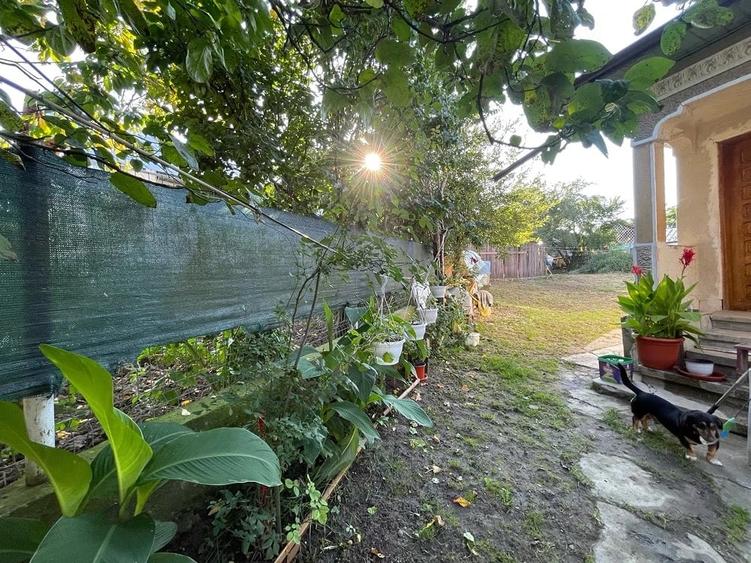 Casă cu 3 camere cu Teren 700 Mp în Cocora