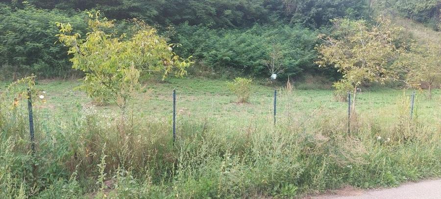 Teren de 7000 mp, în Voia