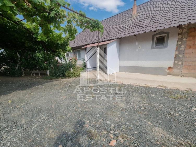Se vinde casa in Teremia Mare, renovata, teren generos de 1.439 mp - 5