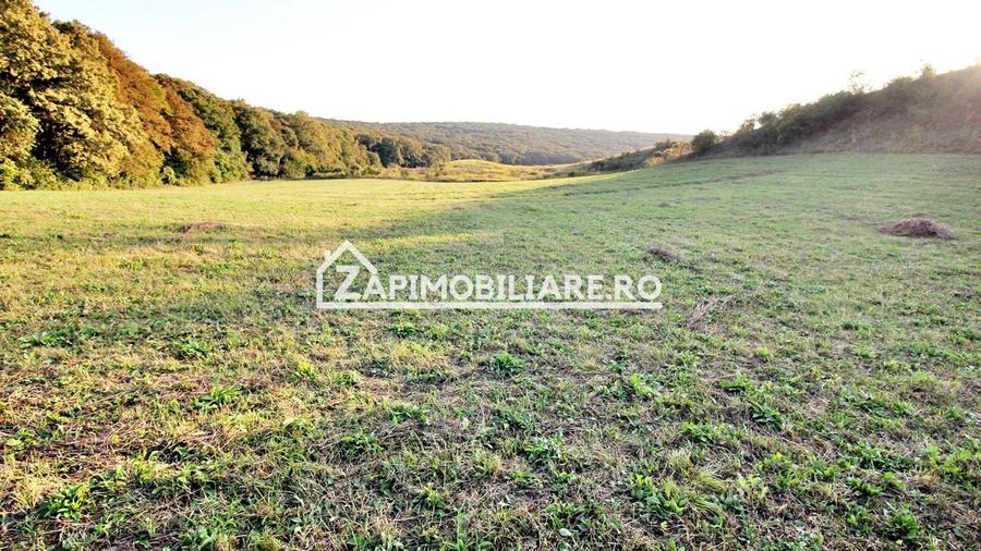 Teren Construcții extravilan de 29759 mp, în Livezeni