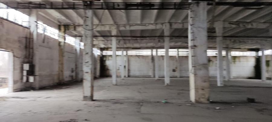 Spațiu industrial, de 4,900 mp, în Mitreni