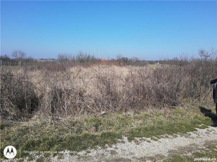 Teren de 1000 mp, în Viile Satu Mare