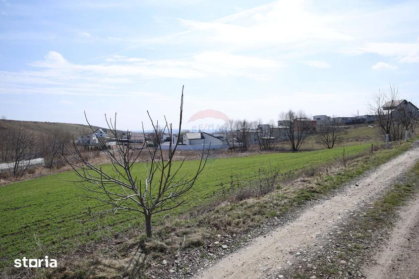 Teren de 3500 mp, în Moara