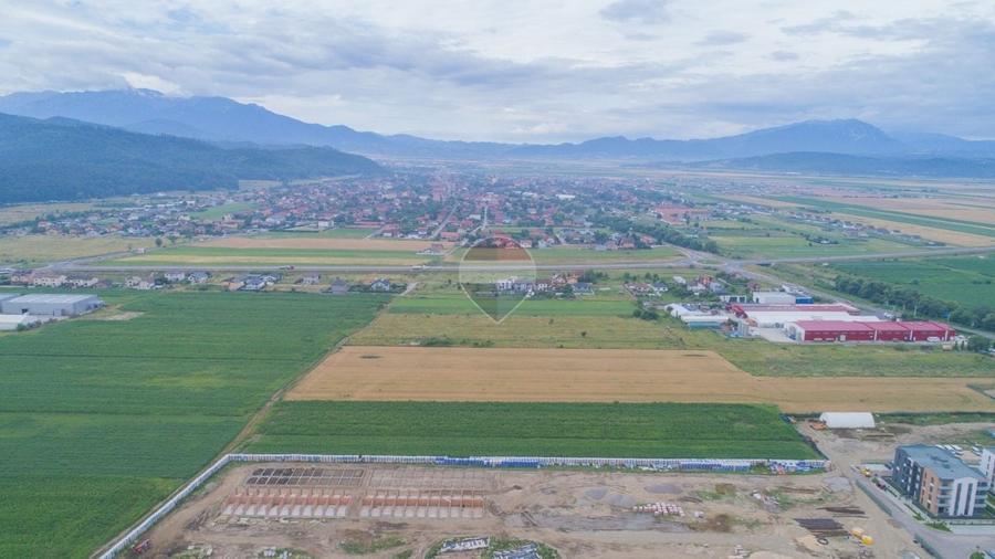 Teren Construcții intravilan de 3331 mp, în Cristian